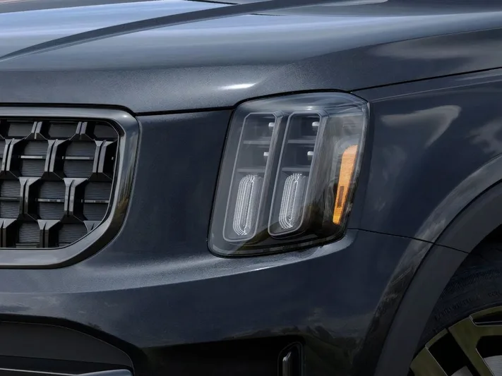 2025 Kia Telluride - view 10