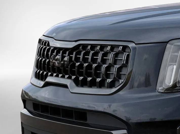 2025 Kia Telluride - view 12