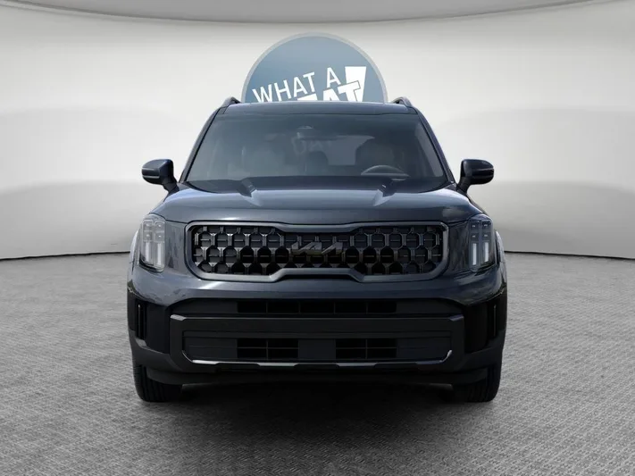 2025 Kia Telluride - view 2