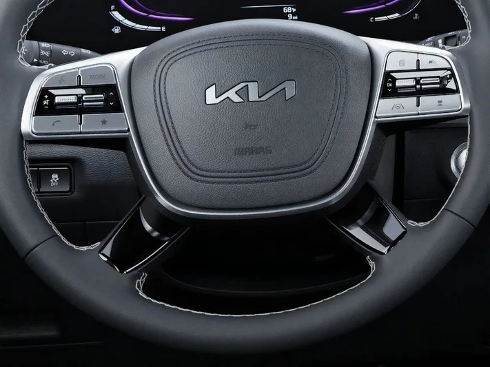 2025 Kia Telluride - view 22