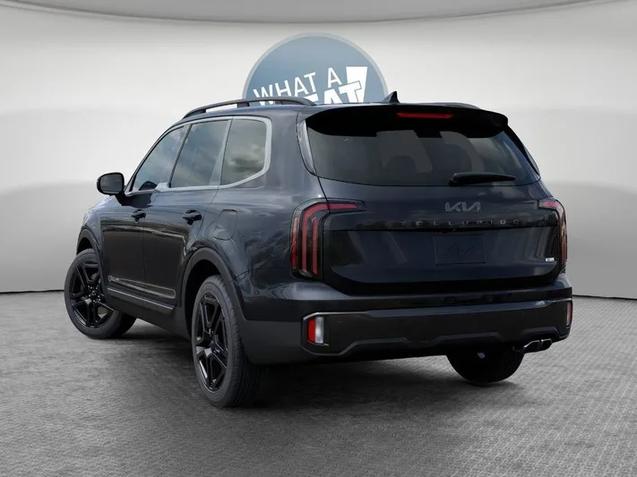 2025 Kia Telluride - view 4