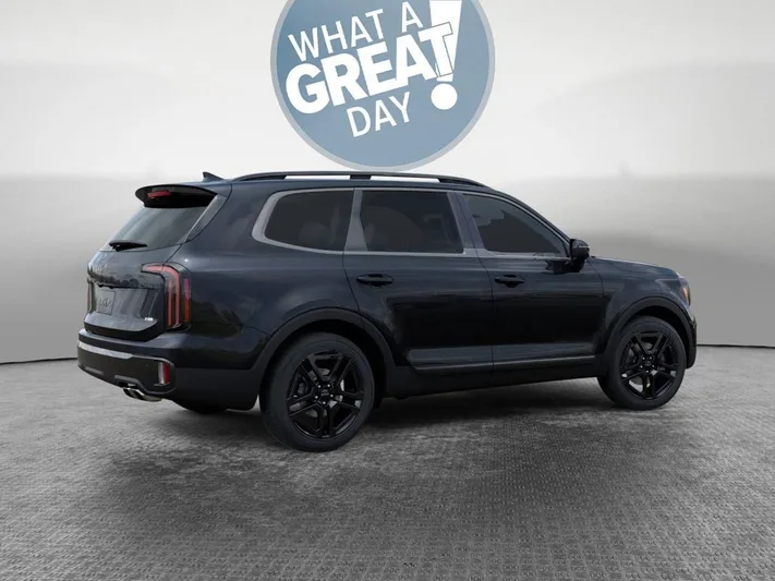 2025 Kia Telluride - view 6