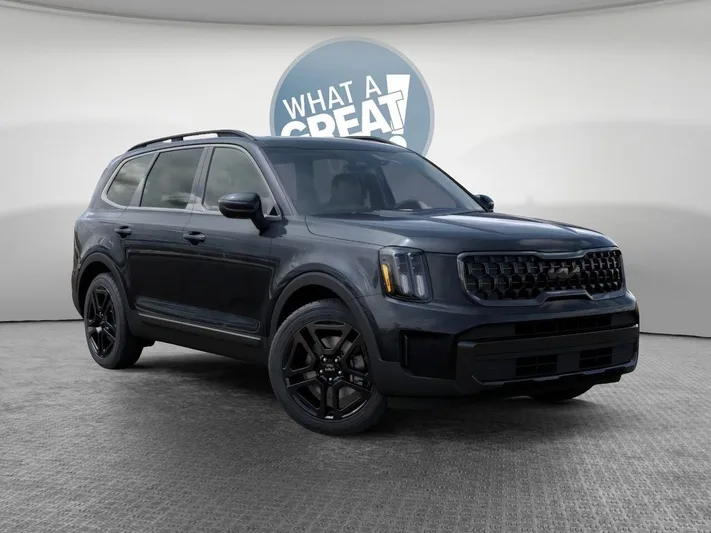2025 Kia Telluride - view 8