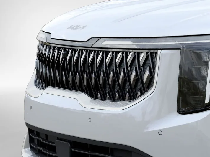 2026 Kia Carnival - view 12
