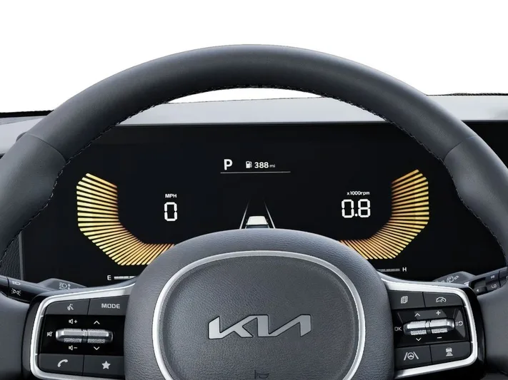 2026 Kia Carnival - view 21