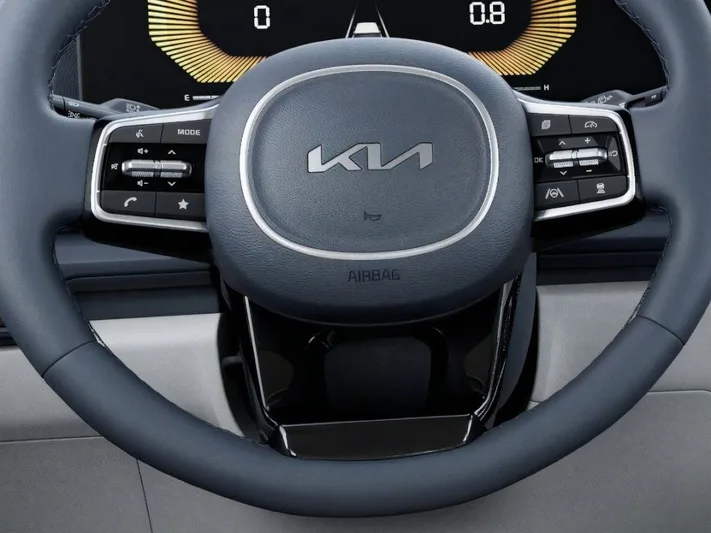 2026 Kia Carnival - view 22