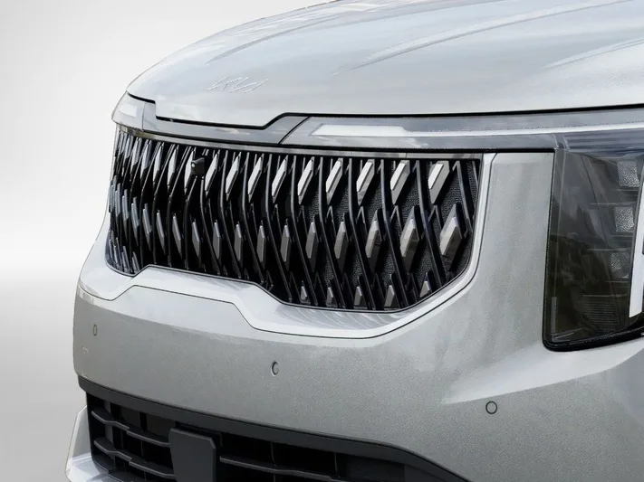 2026 Kia Carnival - view 12