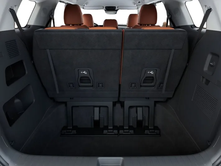 2026 Kia Carnival - view 19