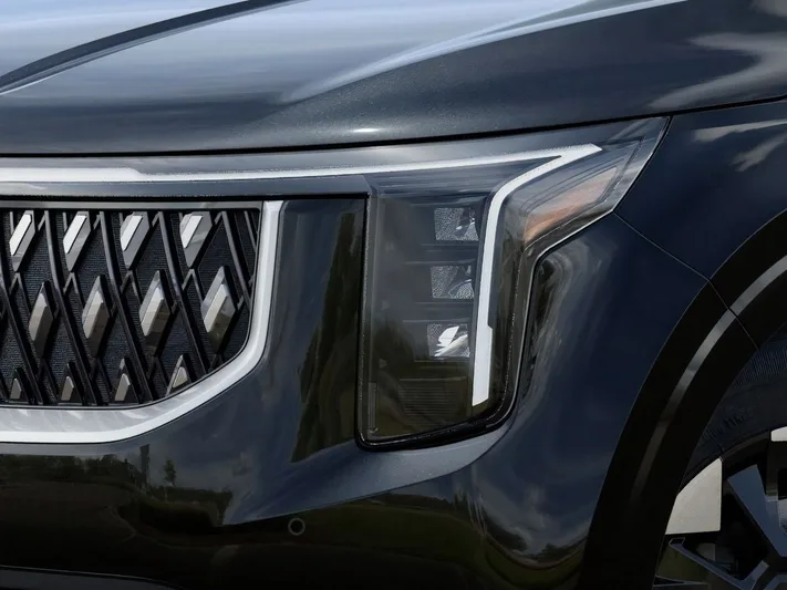 2026 Kia Carnival - view 10