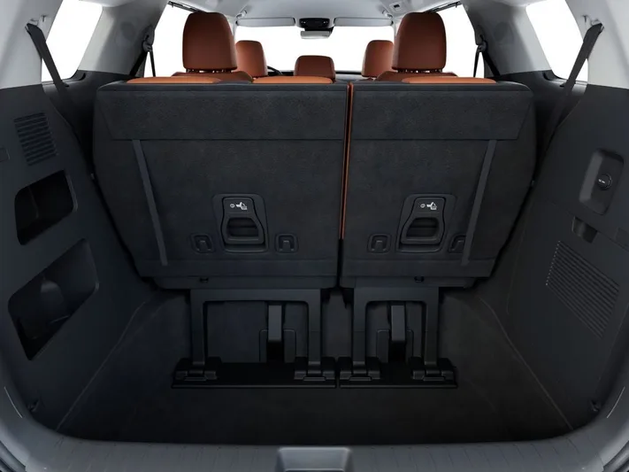 2026 Kia Carnival - view 19