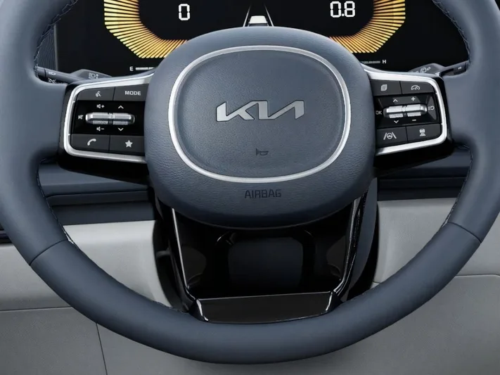 2026 Kia Carnival - view 22