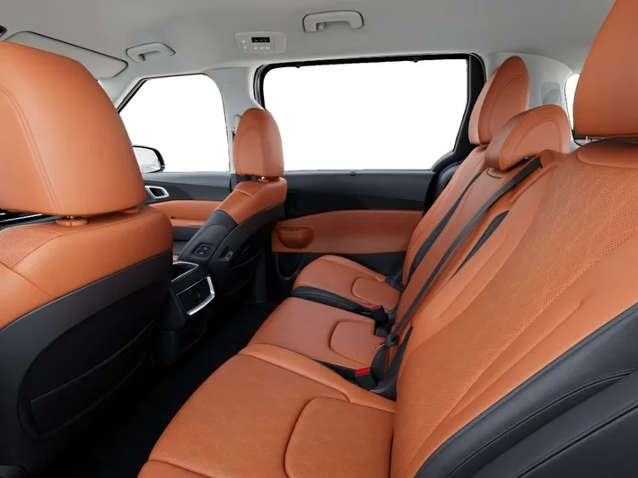 2026 Kia Carnival - view 18