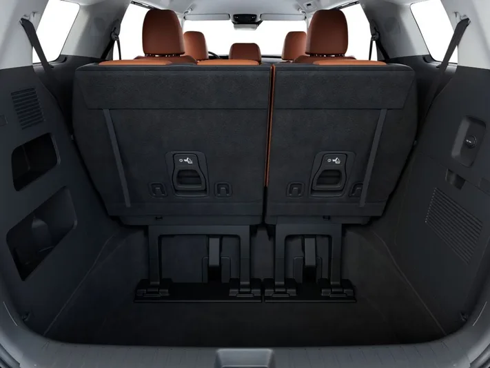2026 Kia Carnival - view 19