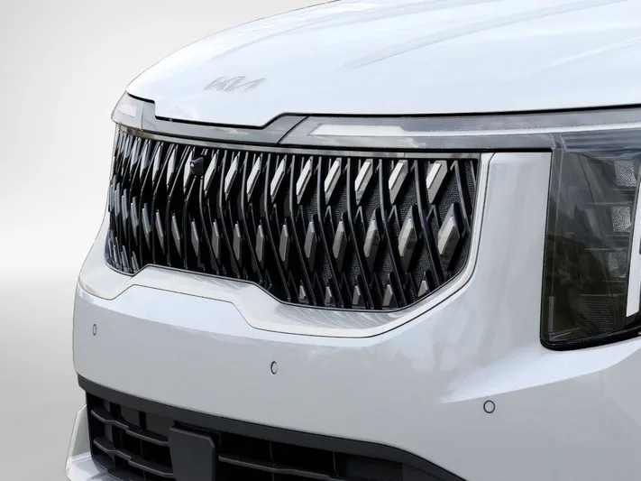 2026 Kia Carnival - view 12