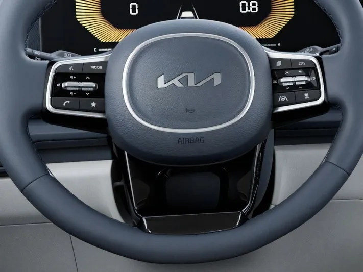 2026 Kia Carnival - view 22