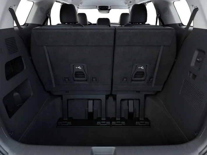 2026 Kia Carnival - view 19
