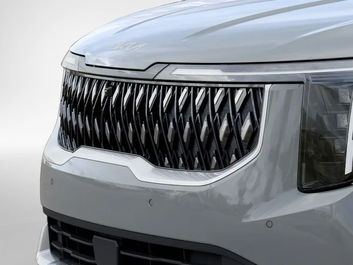 2026 Kia Carnival - view 12