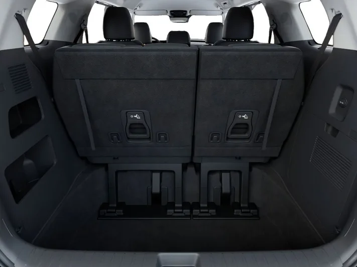 2026 Kia Carnival - view 19