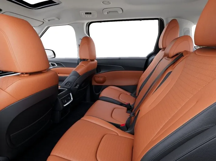 2026 Kia Carnival - view 18