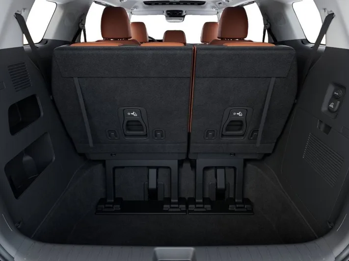2026 Kia Carnival - view 19