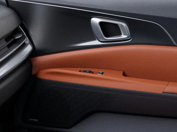 2026 Kia Carnival - view 25