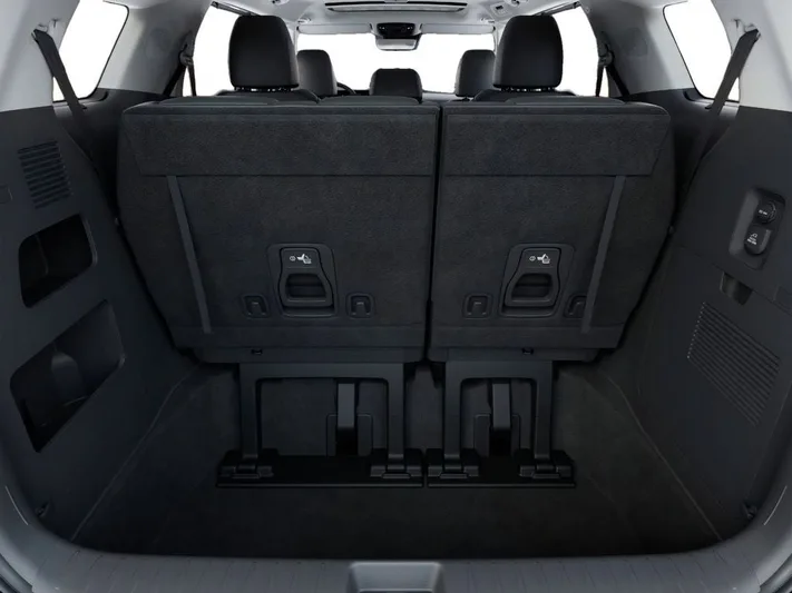 2026 Kia Carnival - view 19