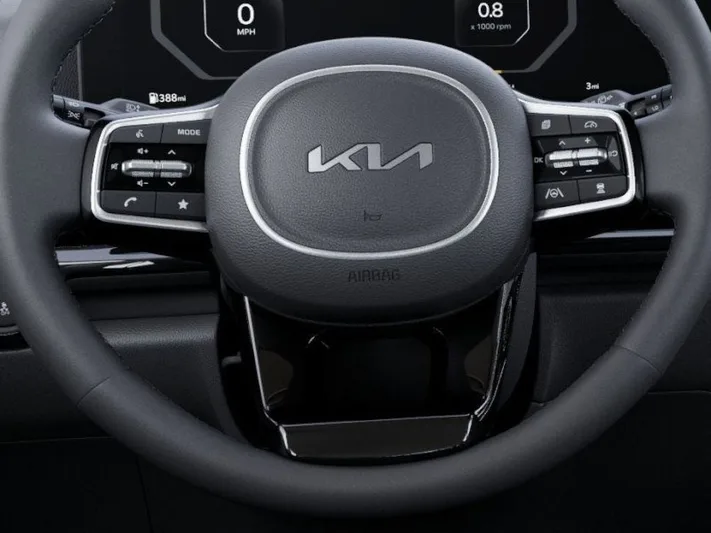2026 Kia Carnival - view 22