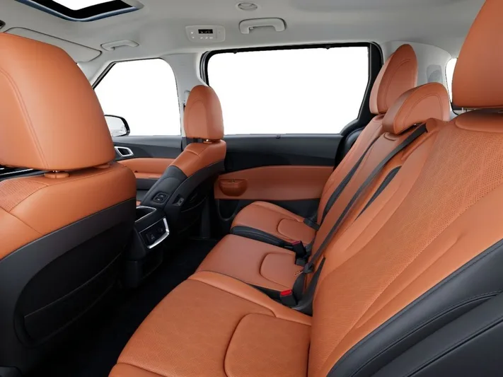 2026 Kia Carnival - view 18