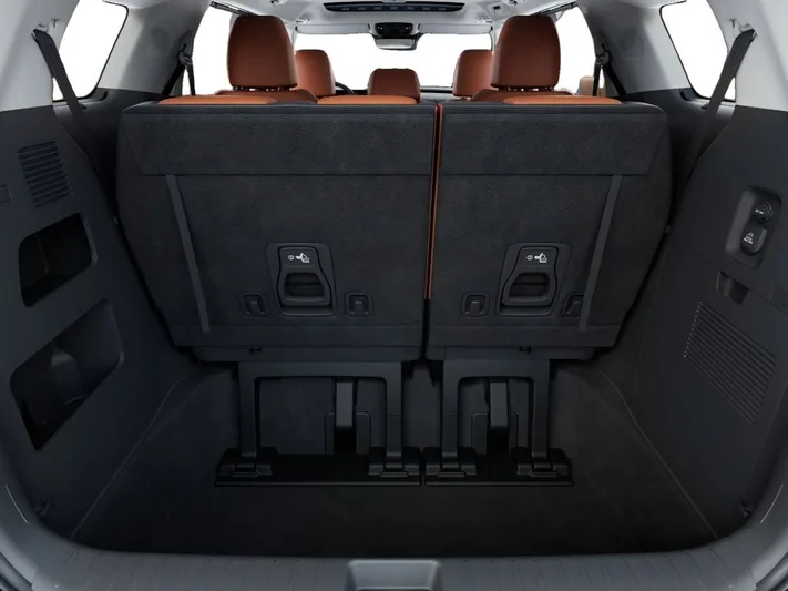 2026 Kia Carnival - view 19