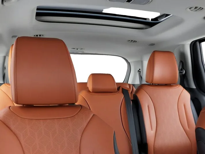2026 Kia Carnival - view 27