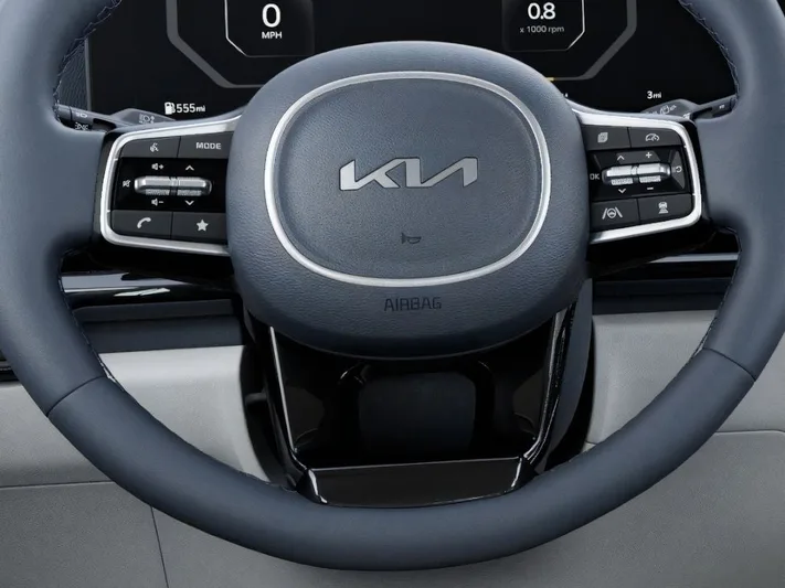 2026 Kia Carnival - view 22