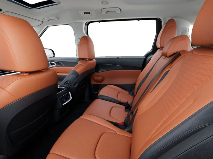 2026 Kia Carnival - view 18