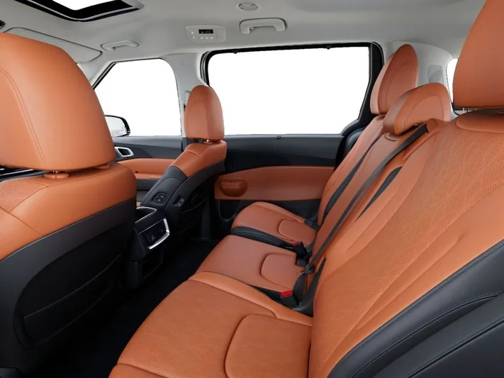 2026 Kia Carnival - view 18
