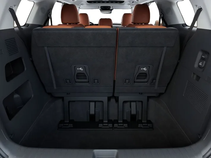 2026 Kia Carnival - view 19
