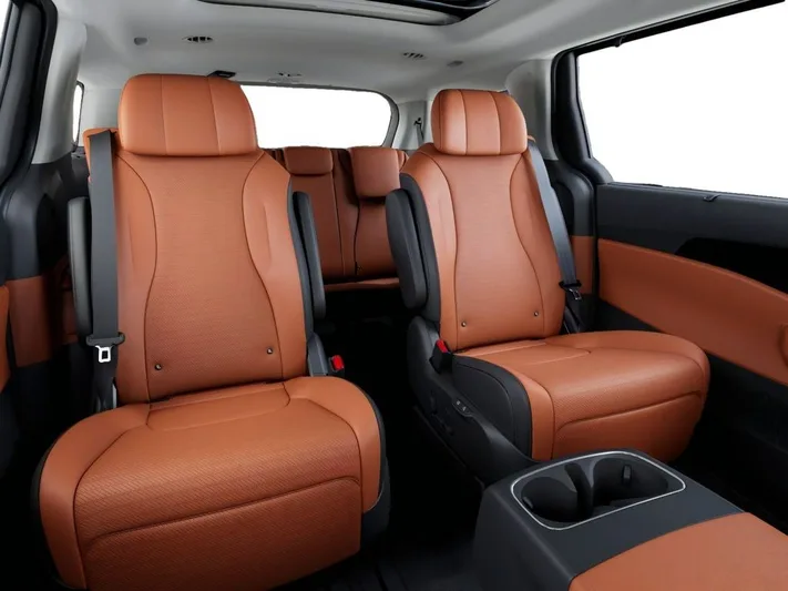 2026 Kia Carnival - view 16
