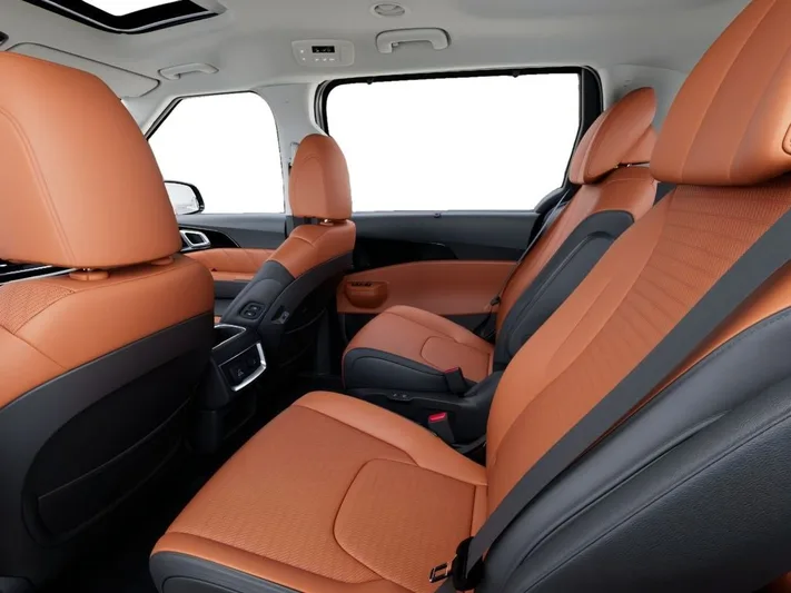 2026 Kia Carnival - view 18