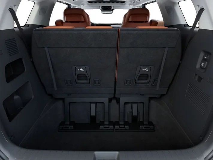 2026 Kia Carnival - view 19