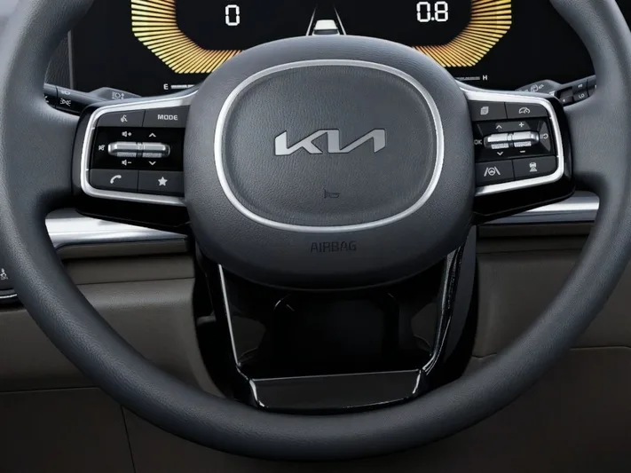 2026 Kia Carnival - view 22