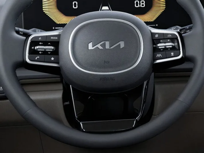 2026 Kia Carnival - view 22