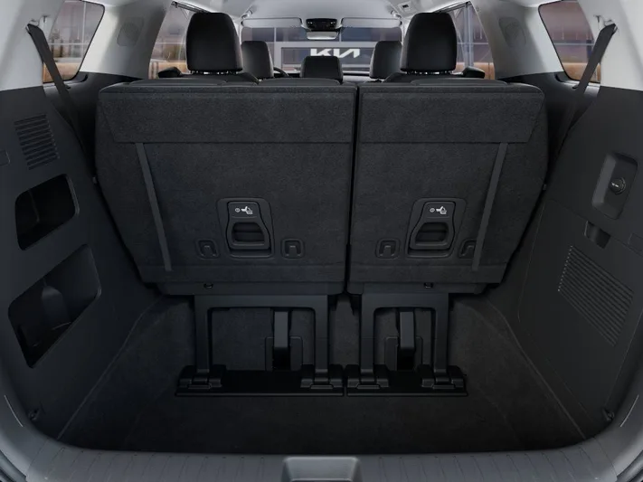 2025 Kia Carnival - view 19