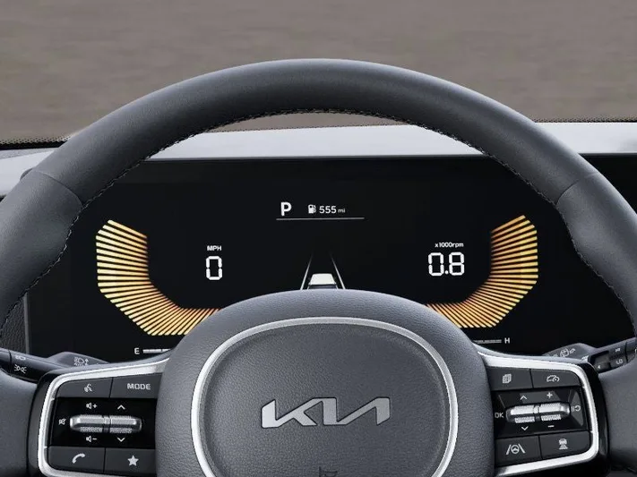 2025 Kia Carnival - view 21
