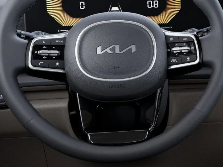 2025 Kia Carnival - view 22