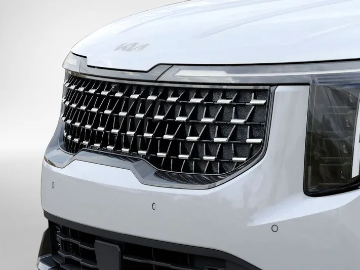 2026 Kia Carnival - view 12