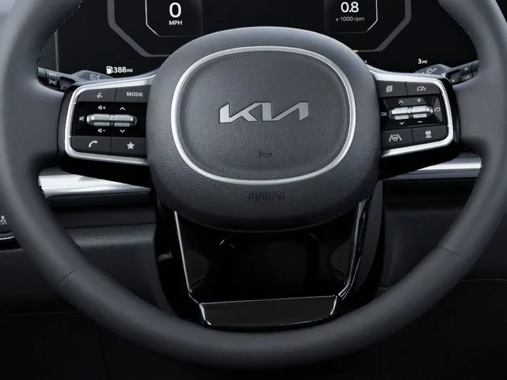 2026 Kia Carnival - view 22