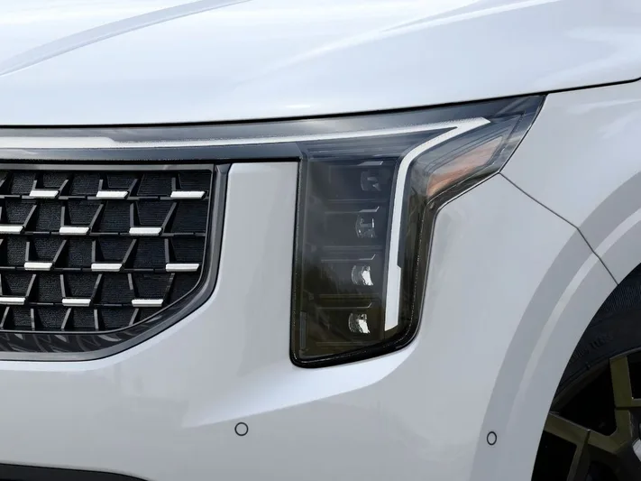 2026 Kia Carnival - view 10