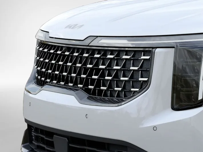 2026 Kia Carnival - view 11