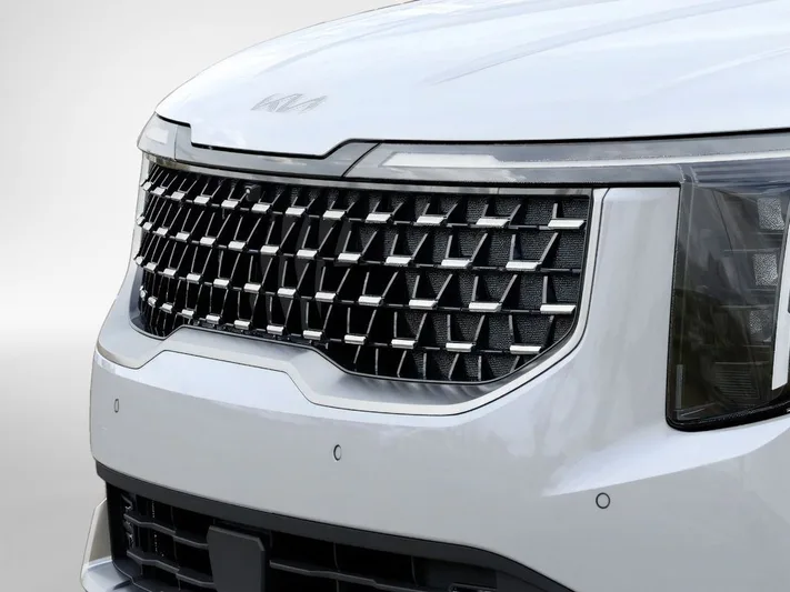 2026 Kia Carnival - view 12