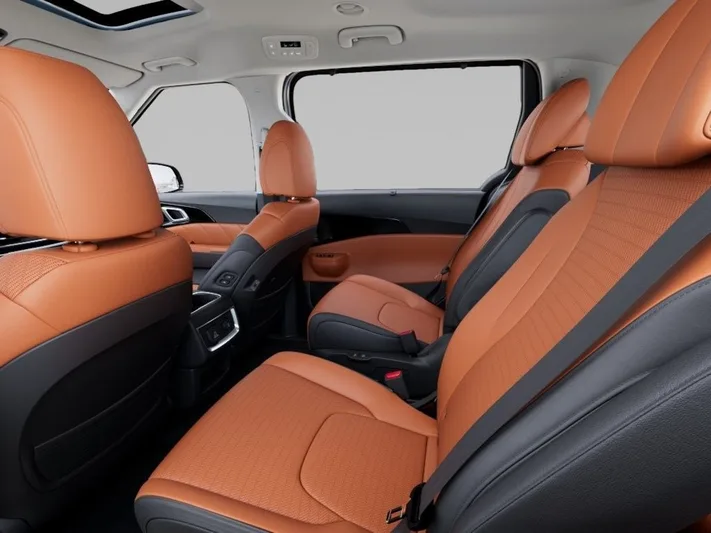 2026 Kia Carnival - view 18