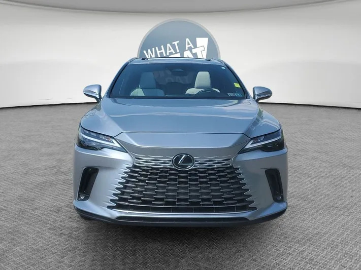 2023 Lexus RX - view 9