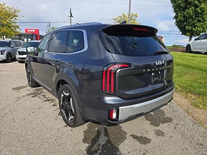 2024 Kia Telluride - view 7